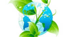 Consejo Internacional de Asociaciones Forestales y de Industria del Papel - ICFPA -