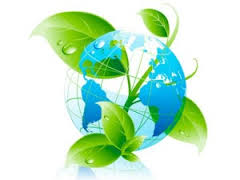 Consejo Internacional de Asociaciones Forestales y de Industria del Papel - ICFPA -